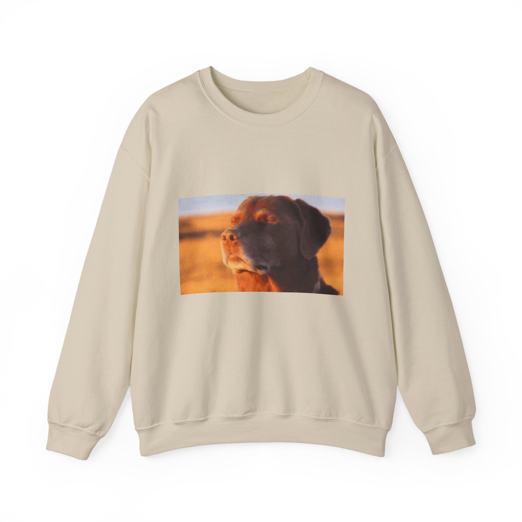 Dog Trying not to Laugh - Crewneck Long Sleeve