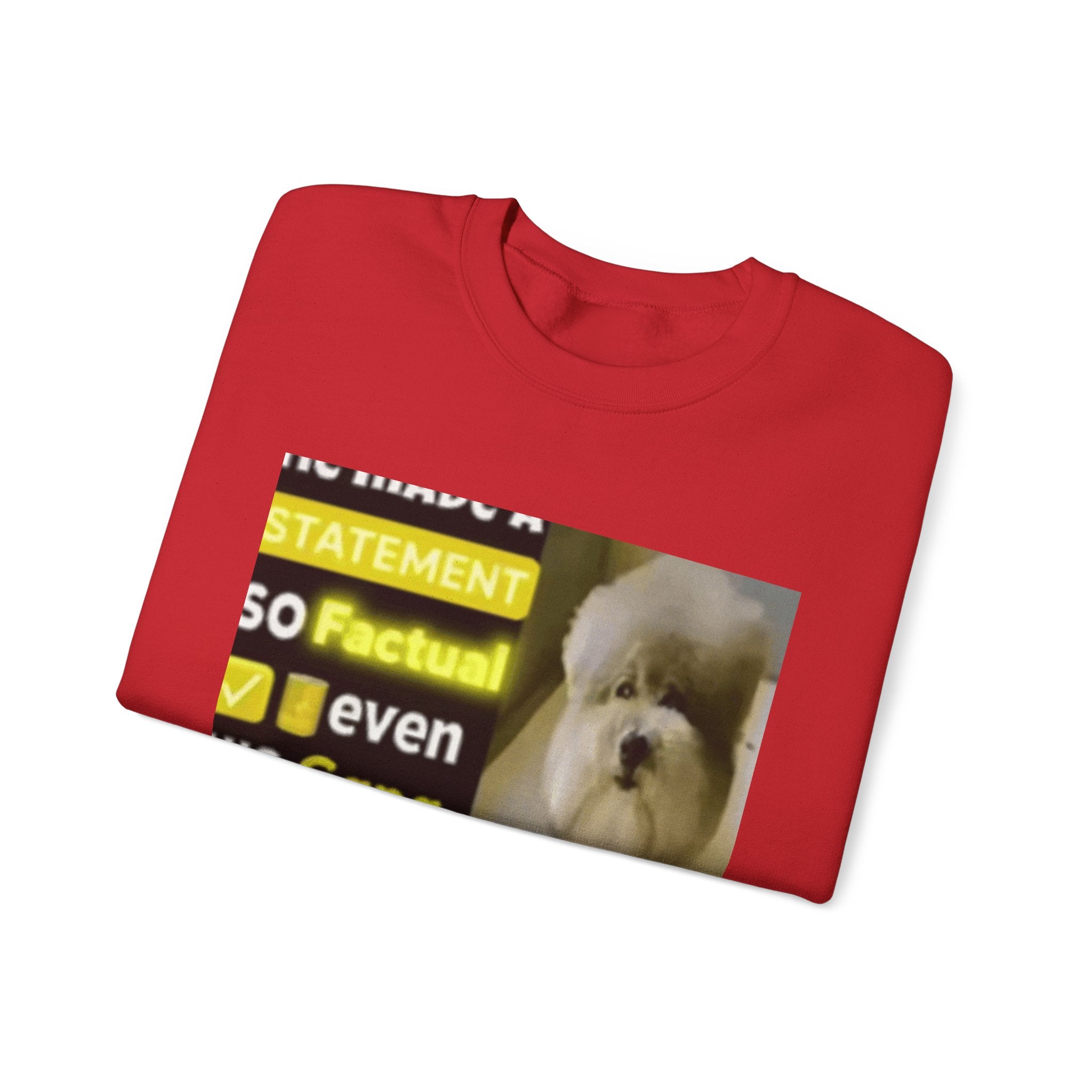 HE MADE A STATEMENT SO FACTUAL - Crewneck Long Sleeve