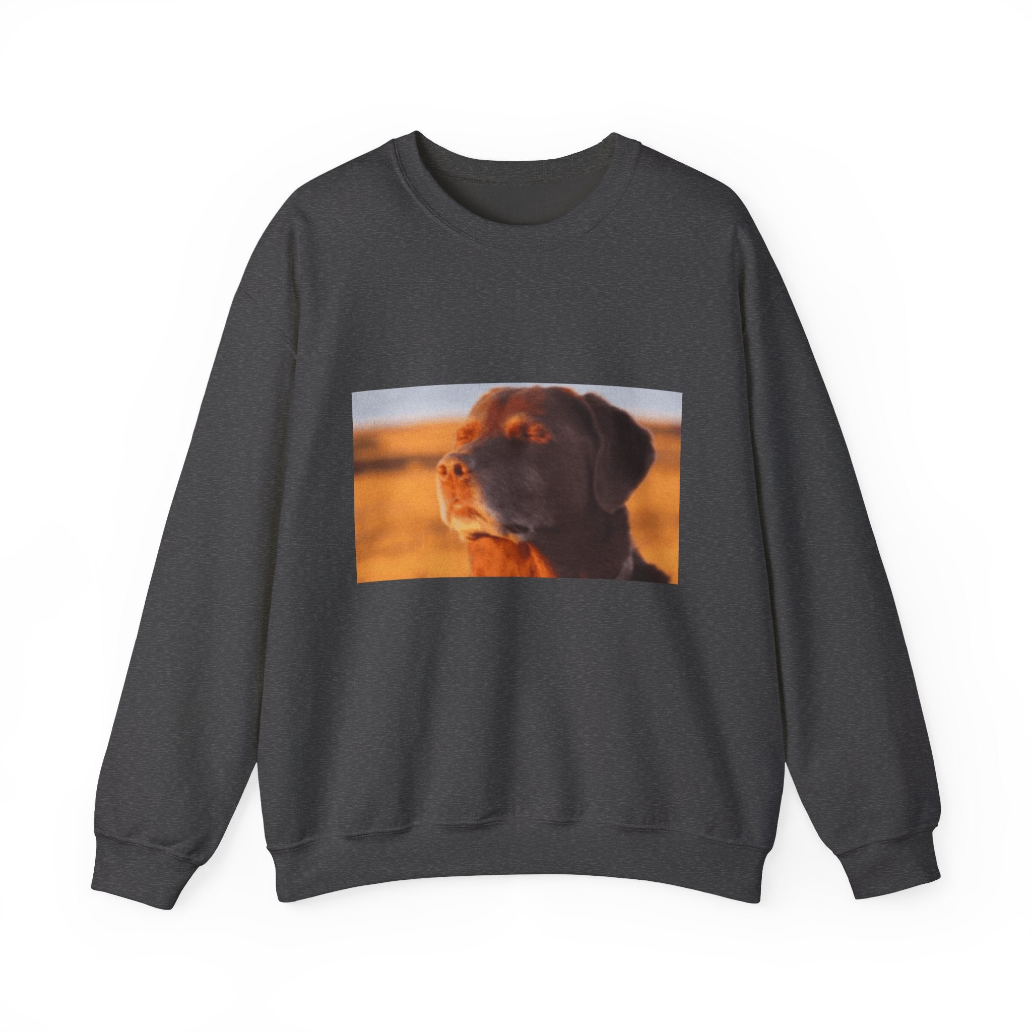 Dog Trying not to Laugh - Crewneck Long Sleeve