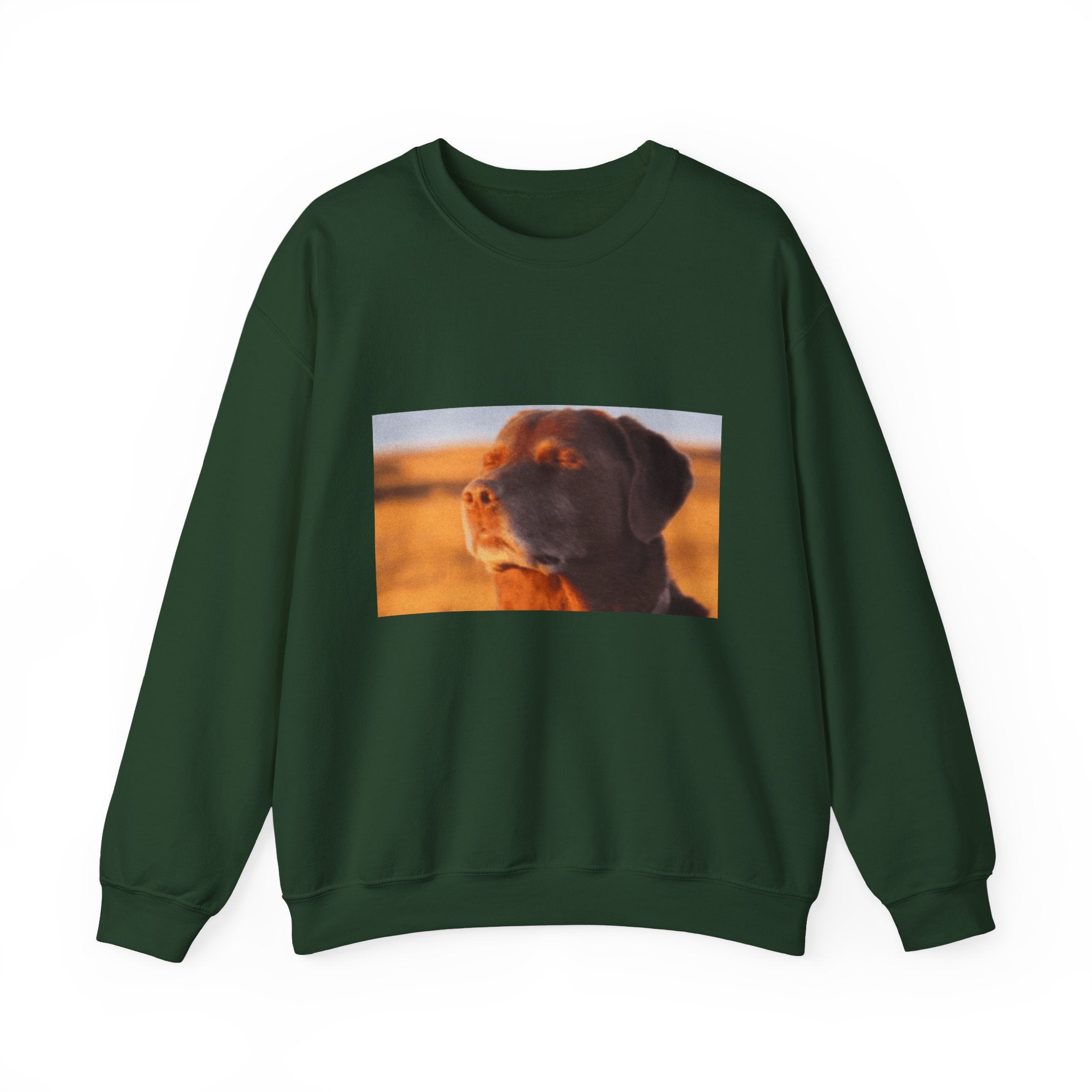 Dog Trying not to Laugh - Crewneck Long Sleeve