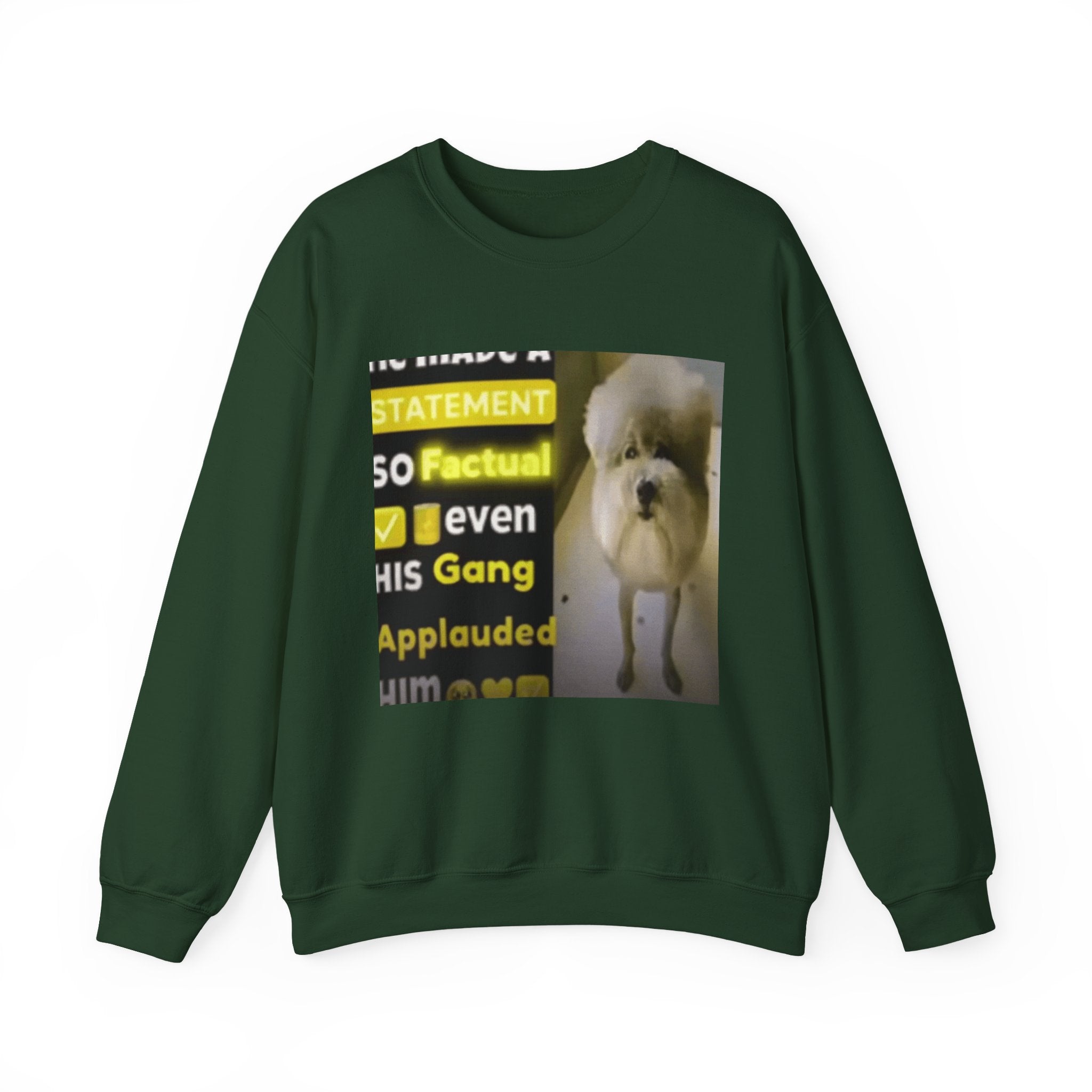 HE MADE A STATEMENT SO FACTUAL - Crewneck Long Sleeve