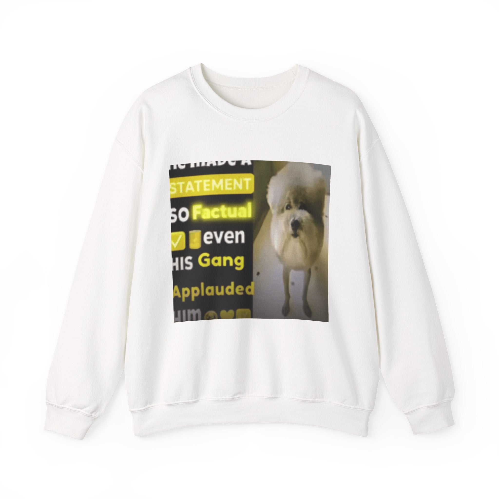 HE MADE A STATEMENT SO FACTUAL - Crewneck Long Sleeve
