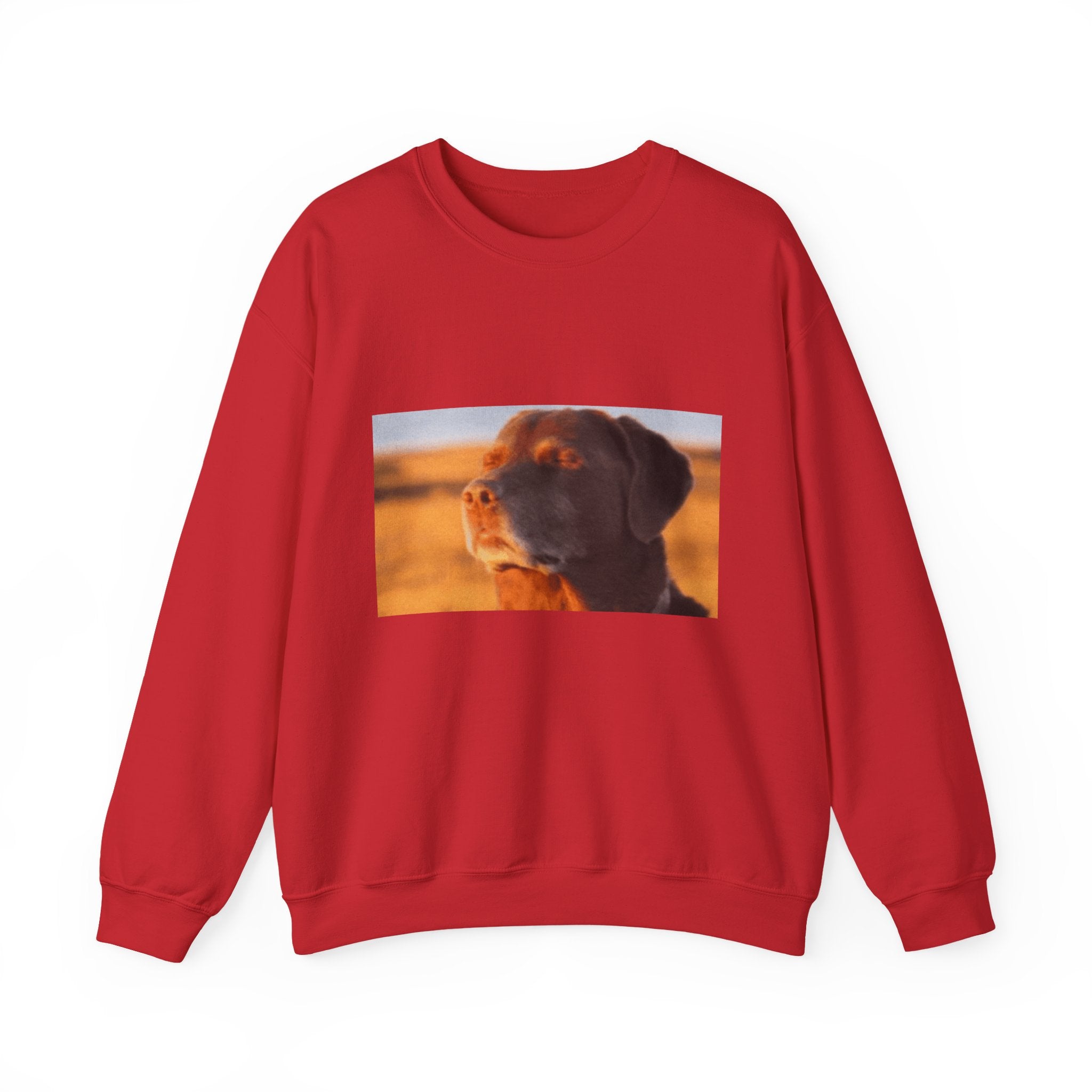 Dog Trying not to Laugh - Crewneck Long Sleeve