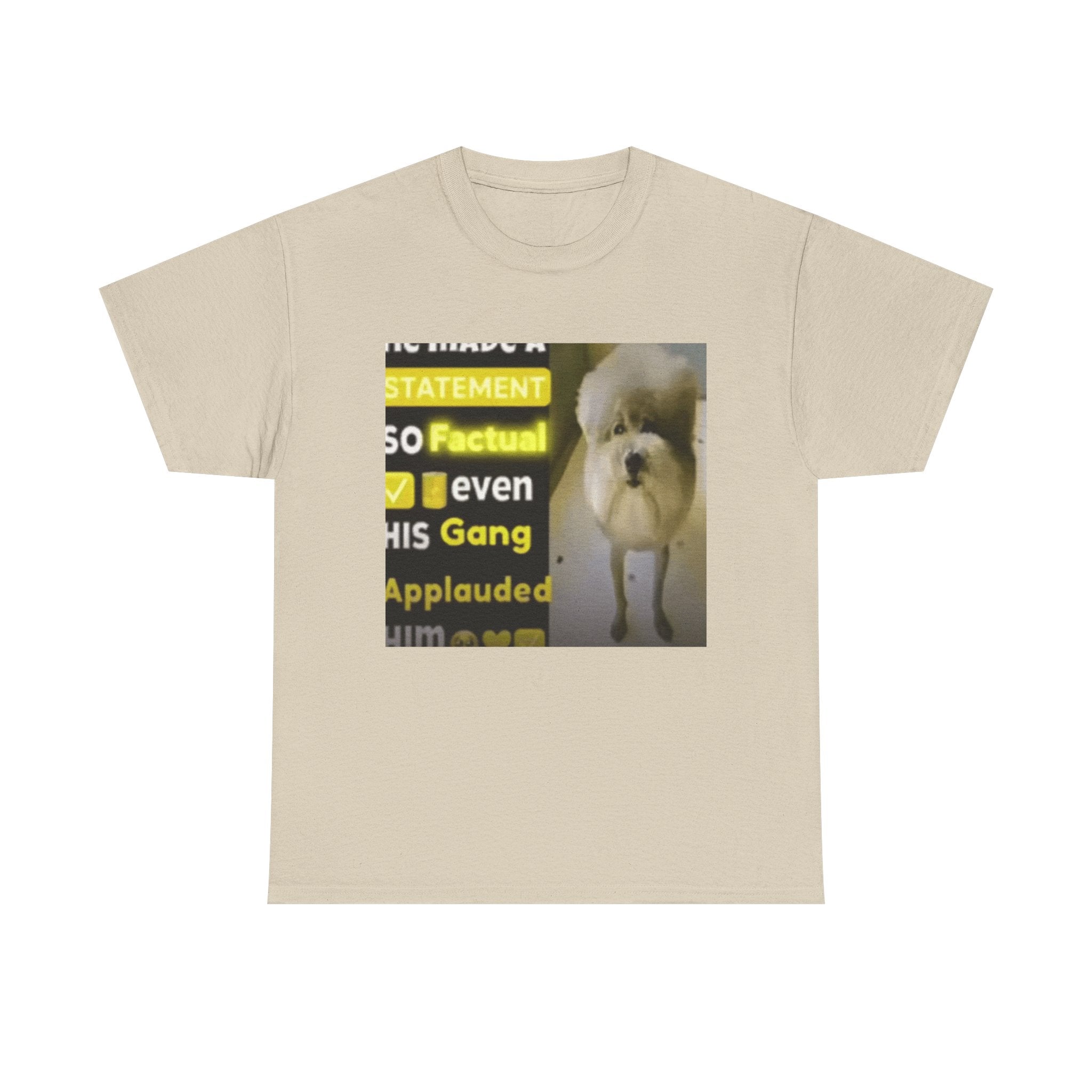 HE MADE A STATEMENT SO FACTUAL - Graphic T-Shirt 100% Cotton
