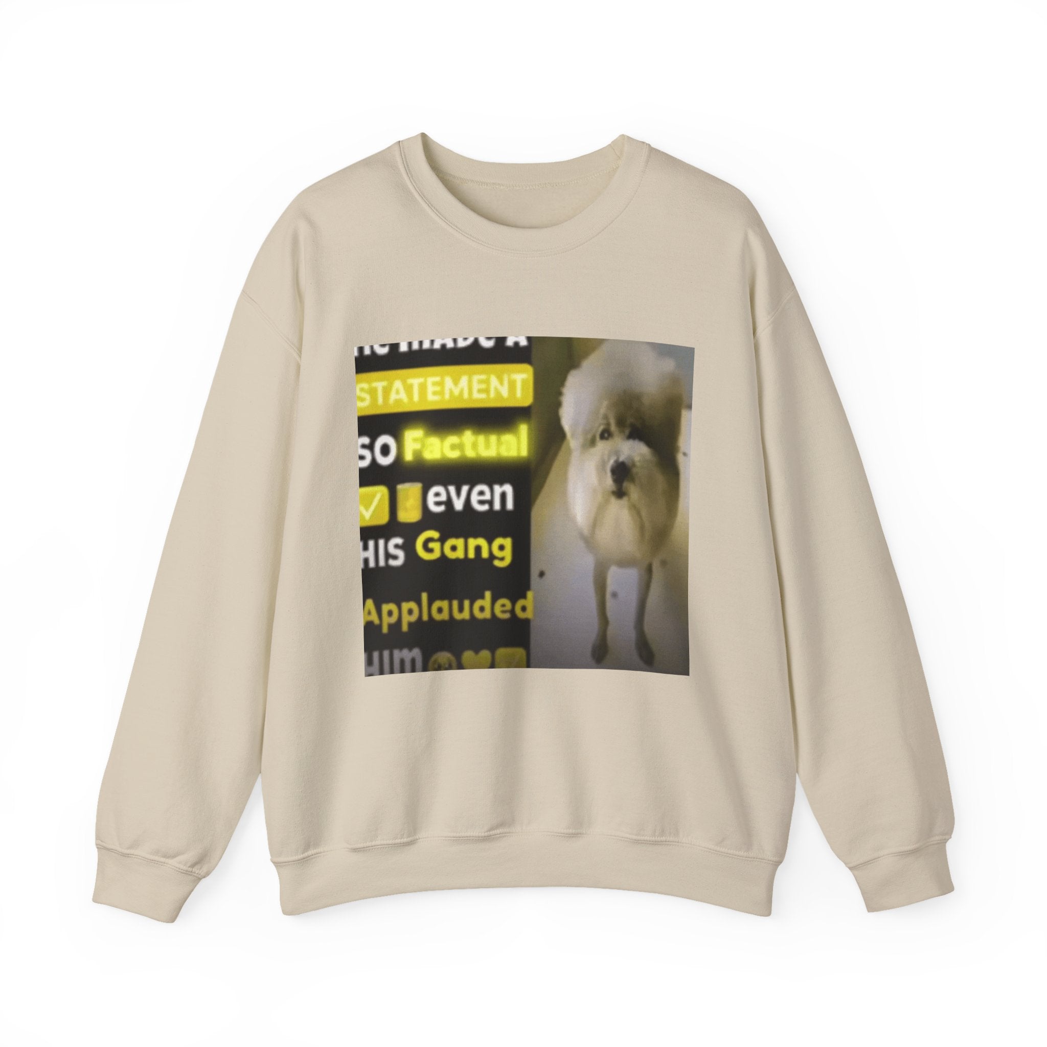 HE MADE A STATEMENT SO FACTUAL - Crewneck Long Sleeve