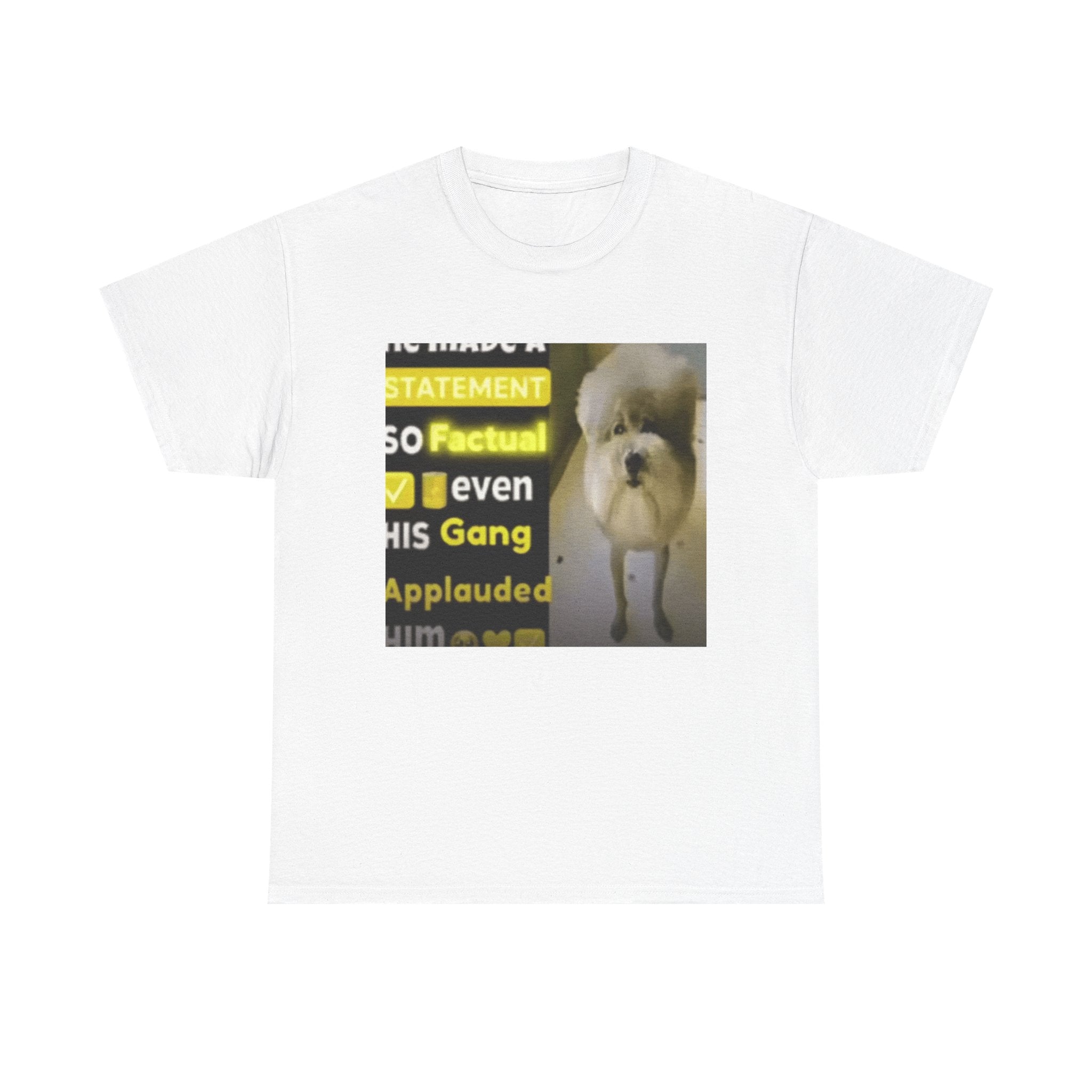 HE MADE A STATEMENT SO FACTUAL - Graphic T-Shirt 100% Cotton