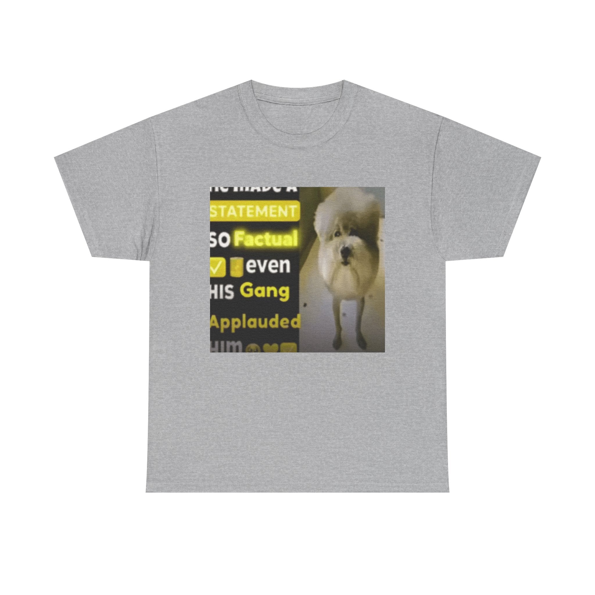 HE MADE A STATEMENT SO FACTUAL - Graphic T-Shirt 100% Cotton