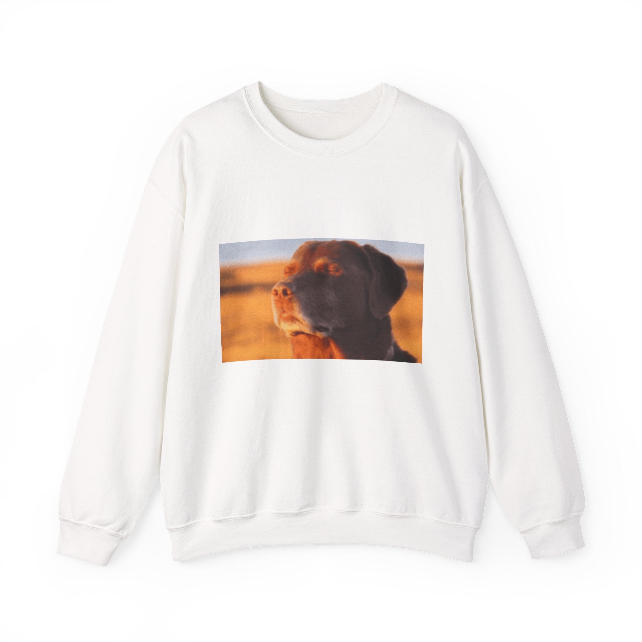 Dog Trying not to Laugh - Crewneck Long Sleeve