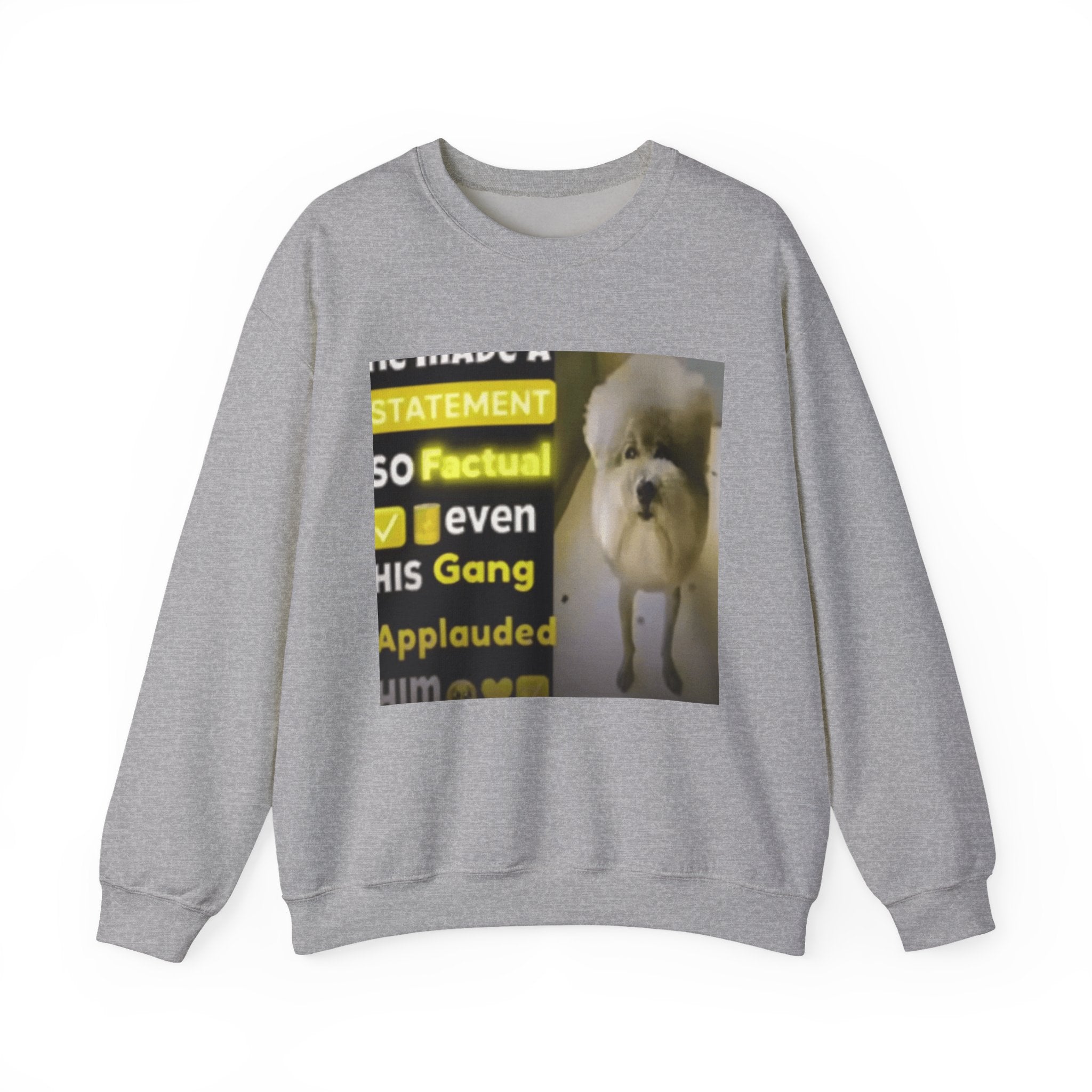 HE MADE A STATEMENT SO FACTUAL - Crewneck Long Sleeve