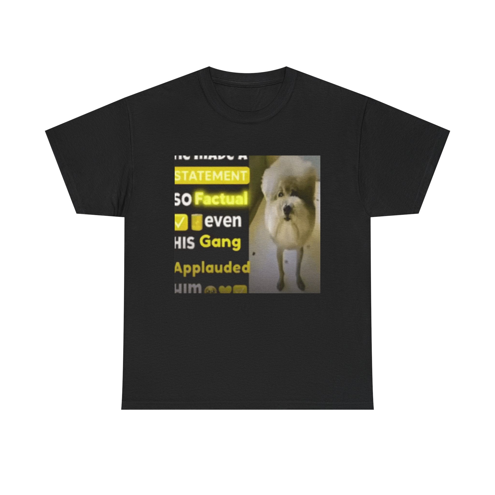HE MADE A STATEMENT SO FACTUAL - Graphic T-Shirt 100% Cotton