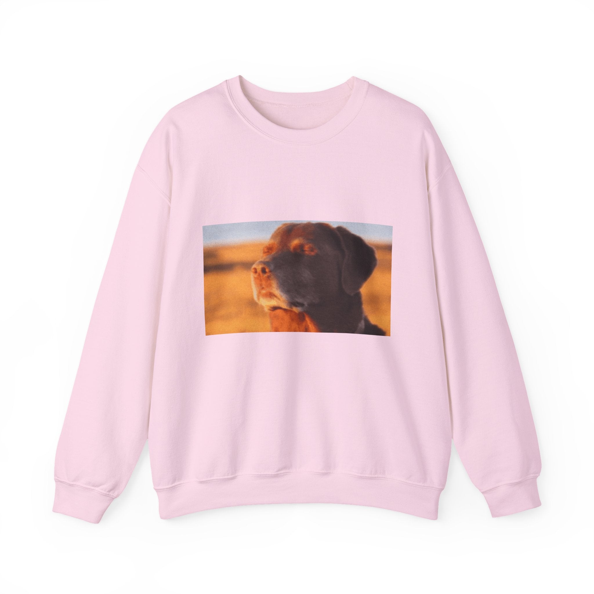 Dog Trying not to Laugh - Crewneck Long Sleeve