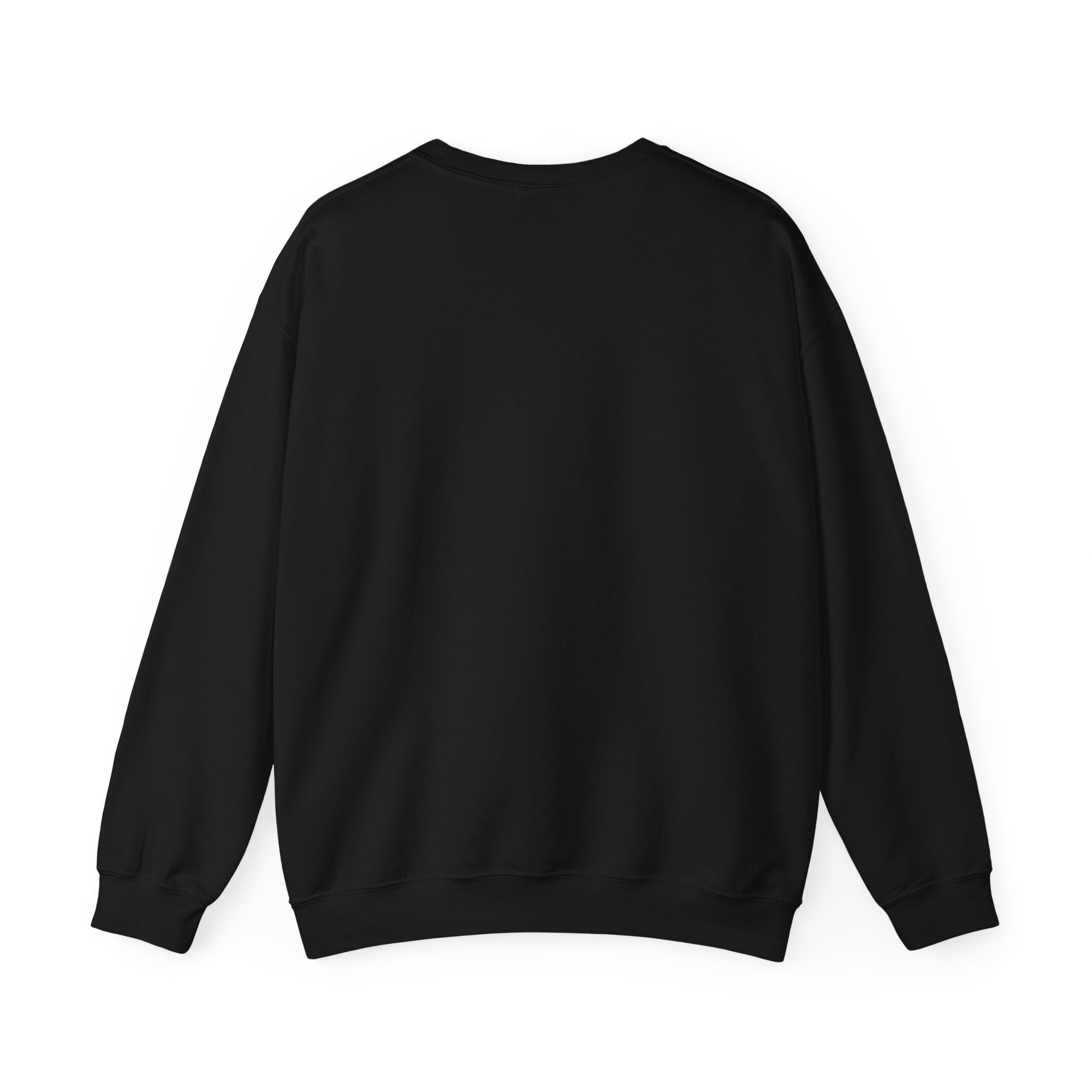RageBait or Stupidity - Crewneck Long Sleeve