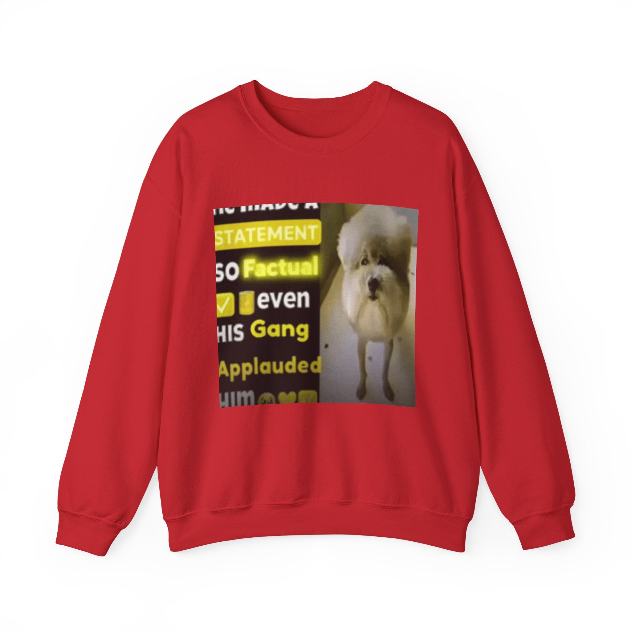HE MADE A STATEMENT SO FACTUAL - Crewneck Long Sleeve