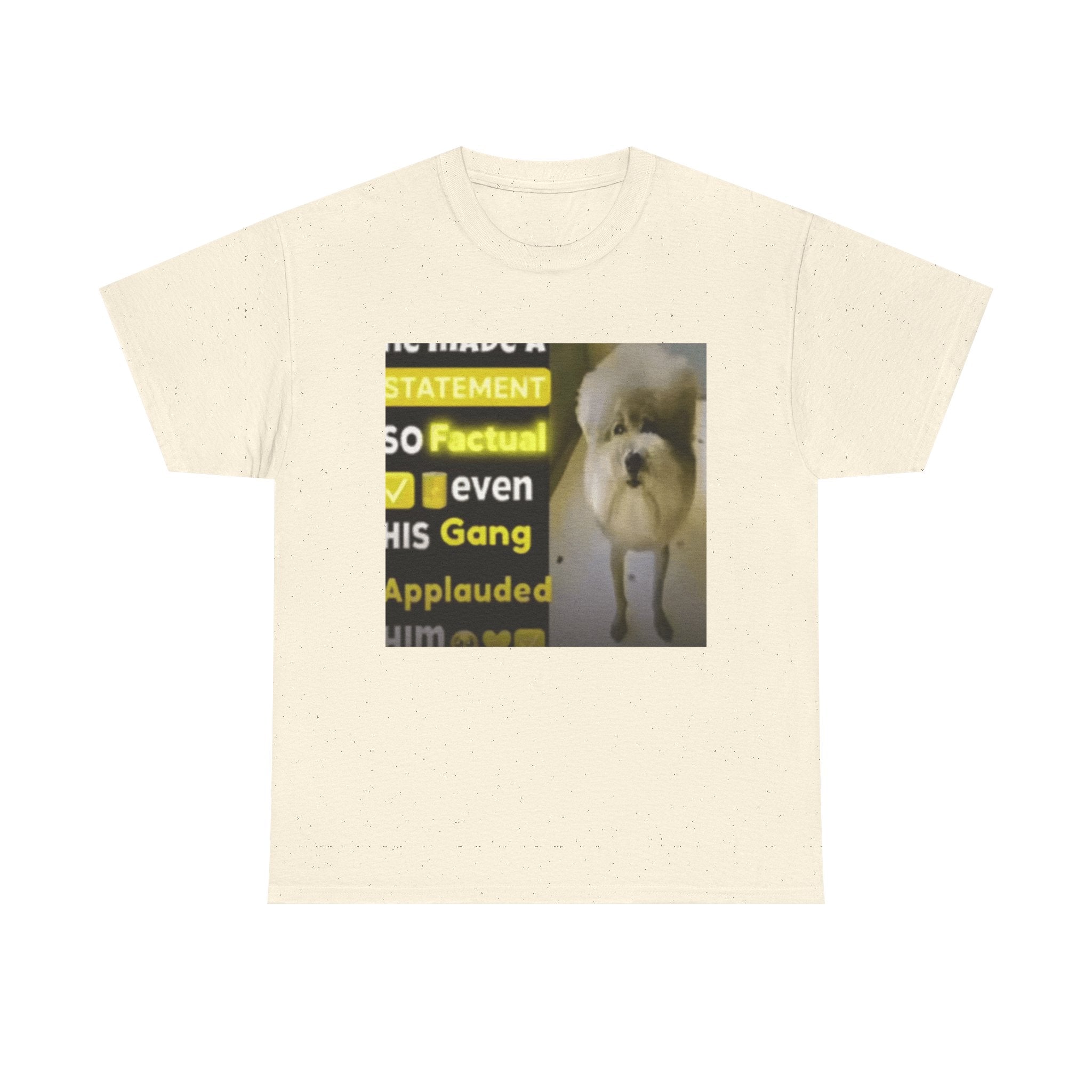 HE MADE A STATEMENT SO FACTUAL - Graphic T-Shirt 100% Cotton