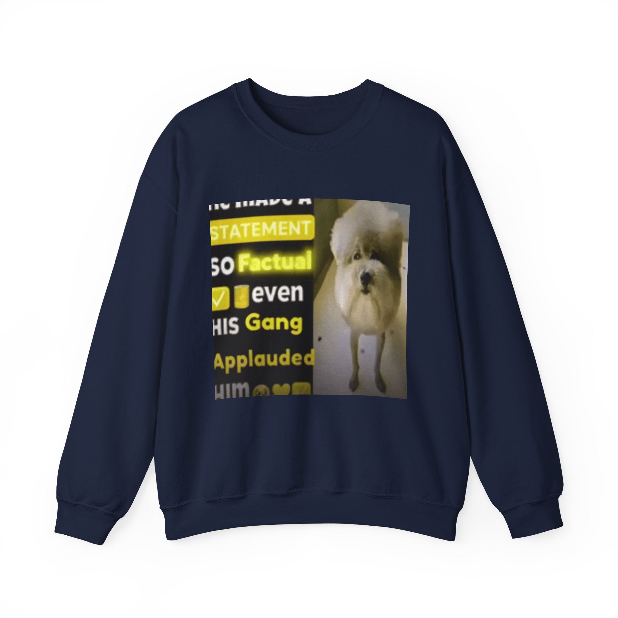 HE MADE A STATEMENT SO FACTUAL - Crewneck Long Sleeve