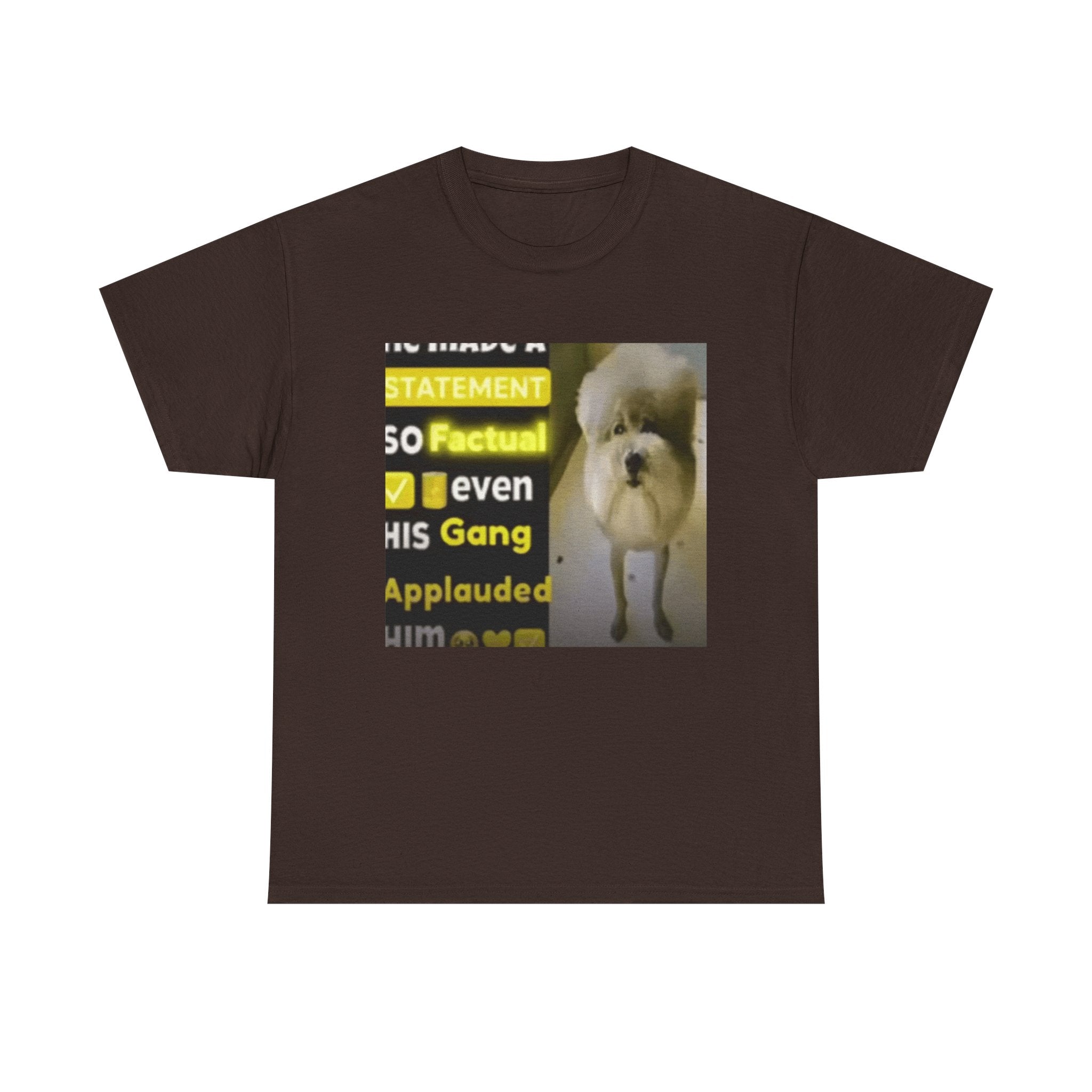 HE MADE A STATEMENT SO FACTUAL - Graphic T-Shirt 100% Cotton