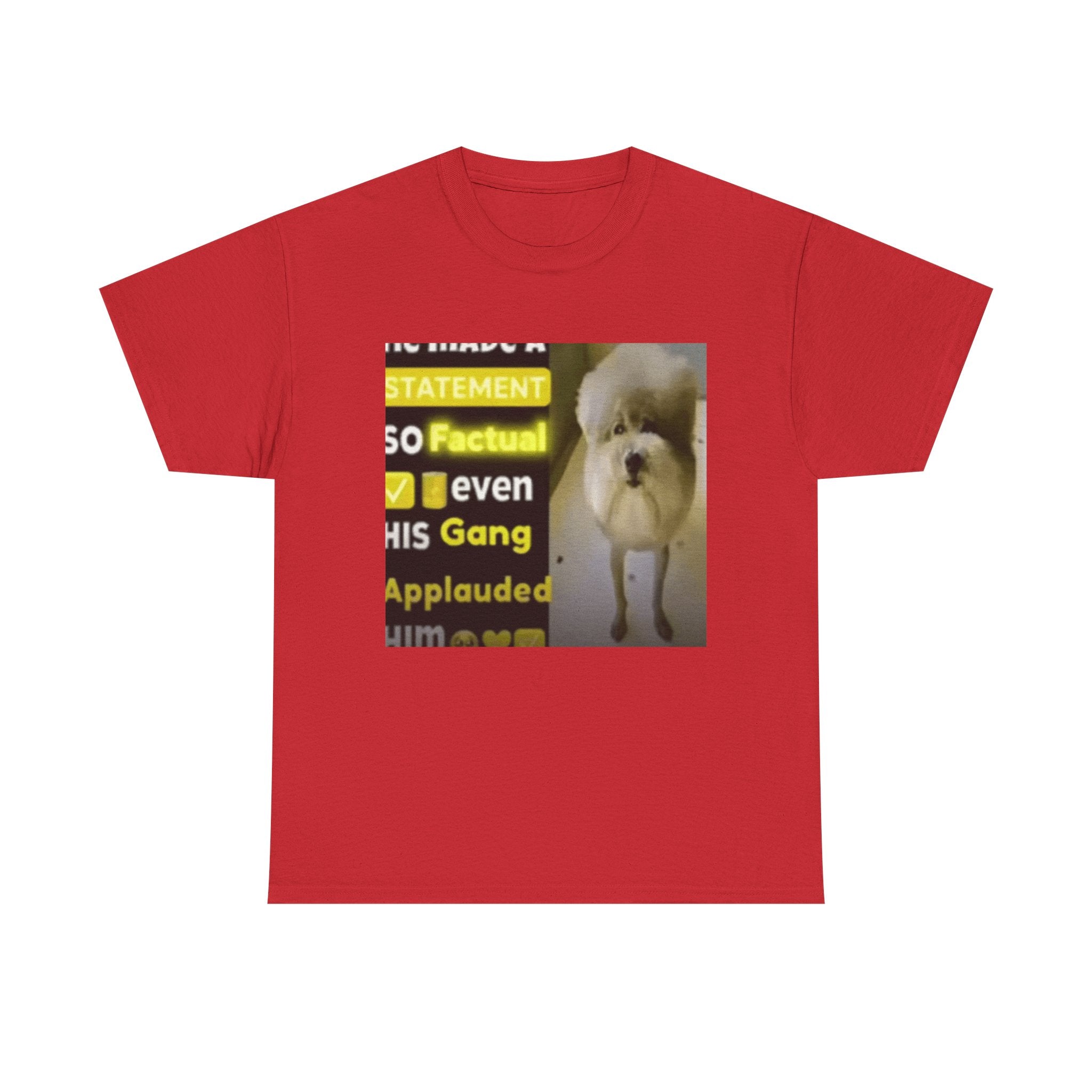 HE MADE A STATEMENT SO FACTUAL - Graphic T-Shirt 100% Cotton