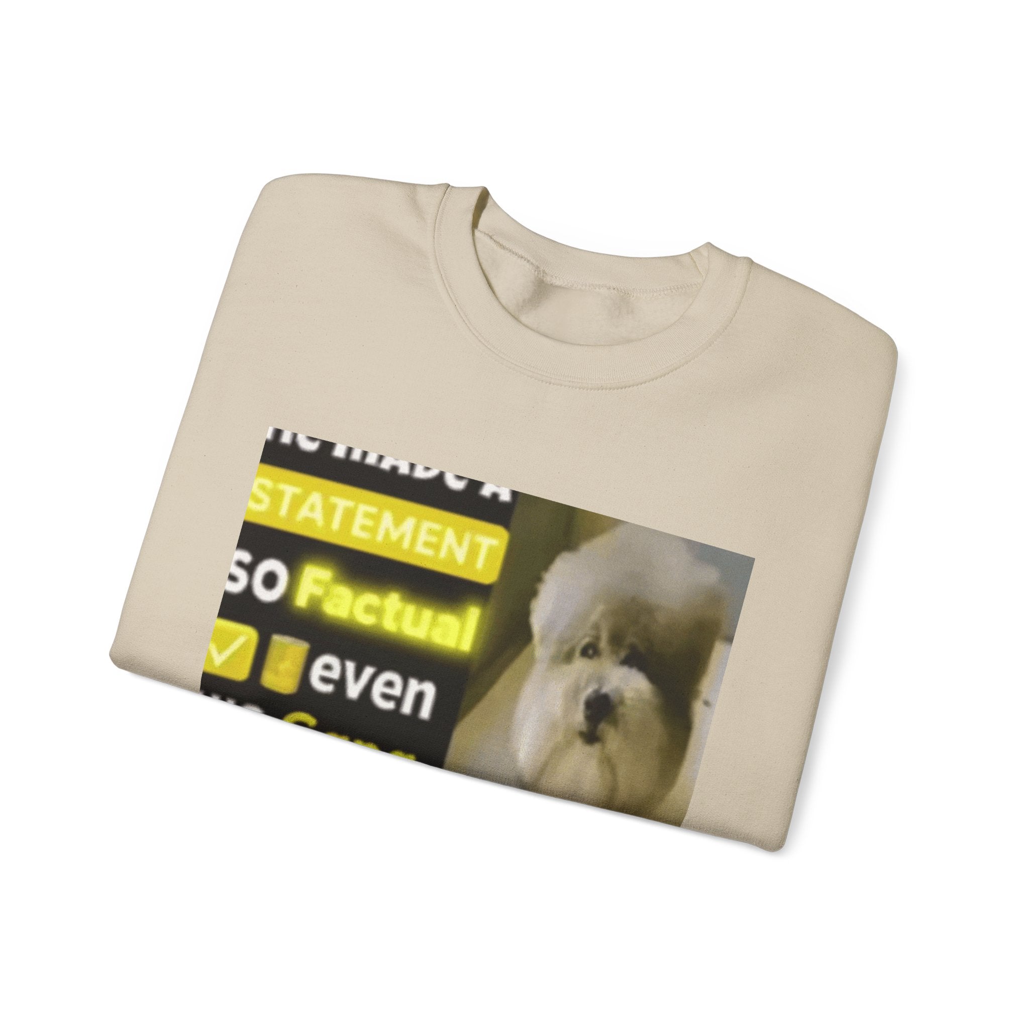 HE MADE A STATEMENT SO FACTUAL - Crewneck Long Sleeve