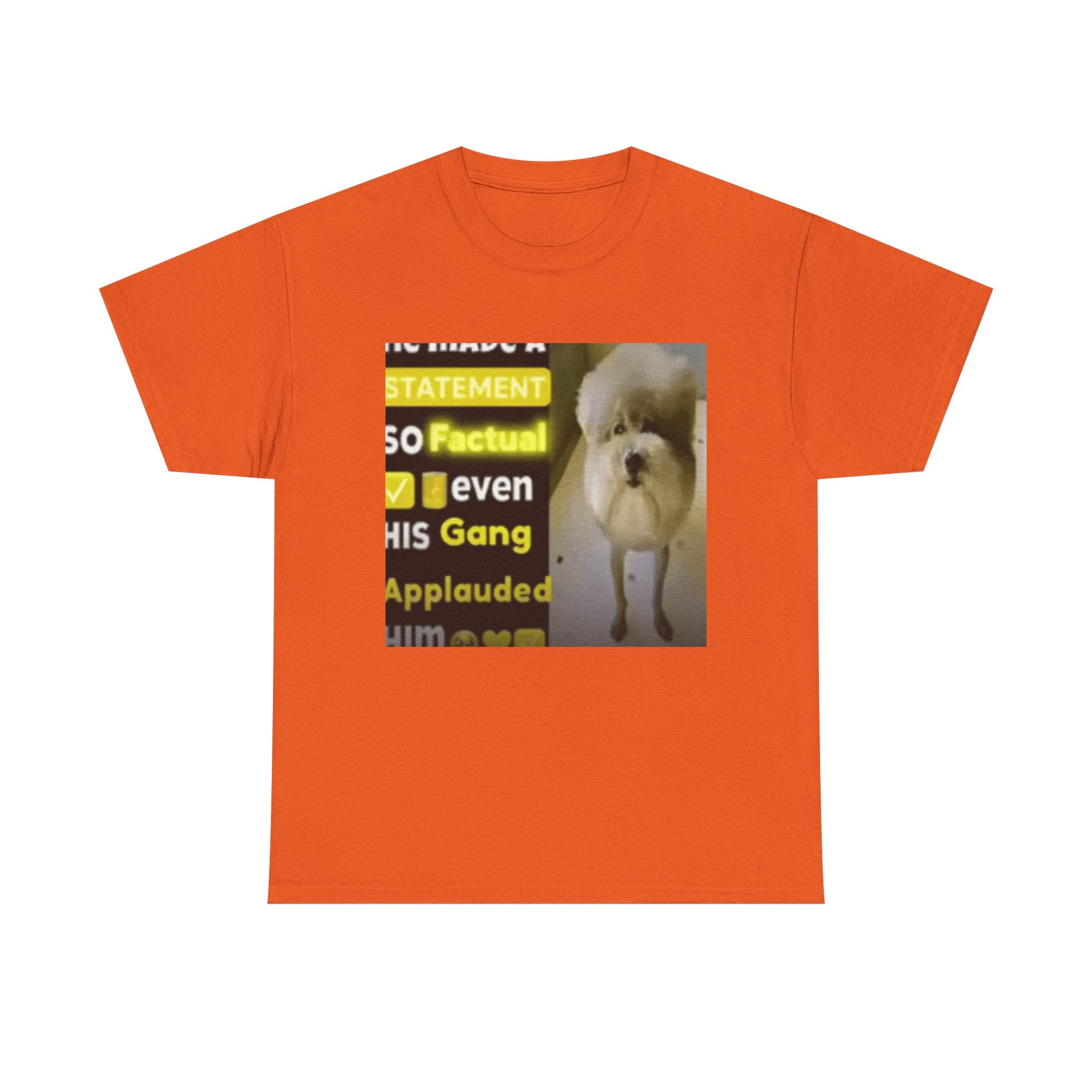 HE MADE A STATEMENT SO FACTUAL - Graphic T-Shirt 100% Cotton