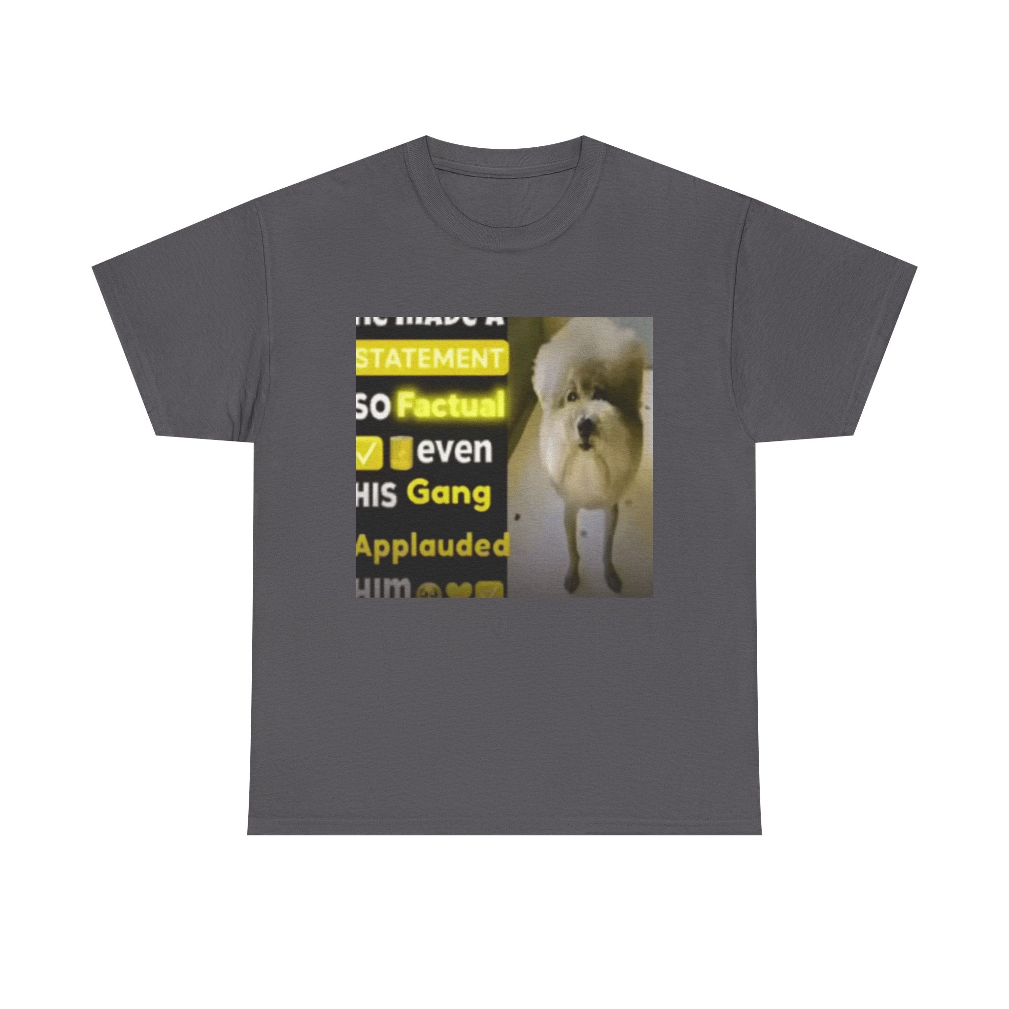 HE MADE A STATEMENT SO FACTUAL - Graphic T-Shirt 100% Cotton