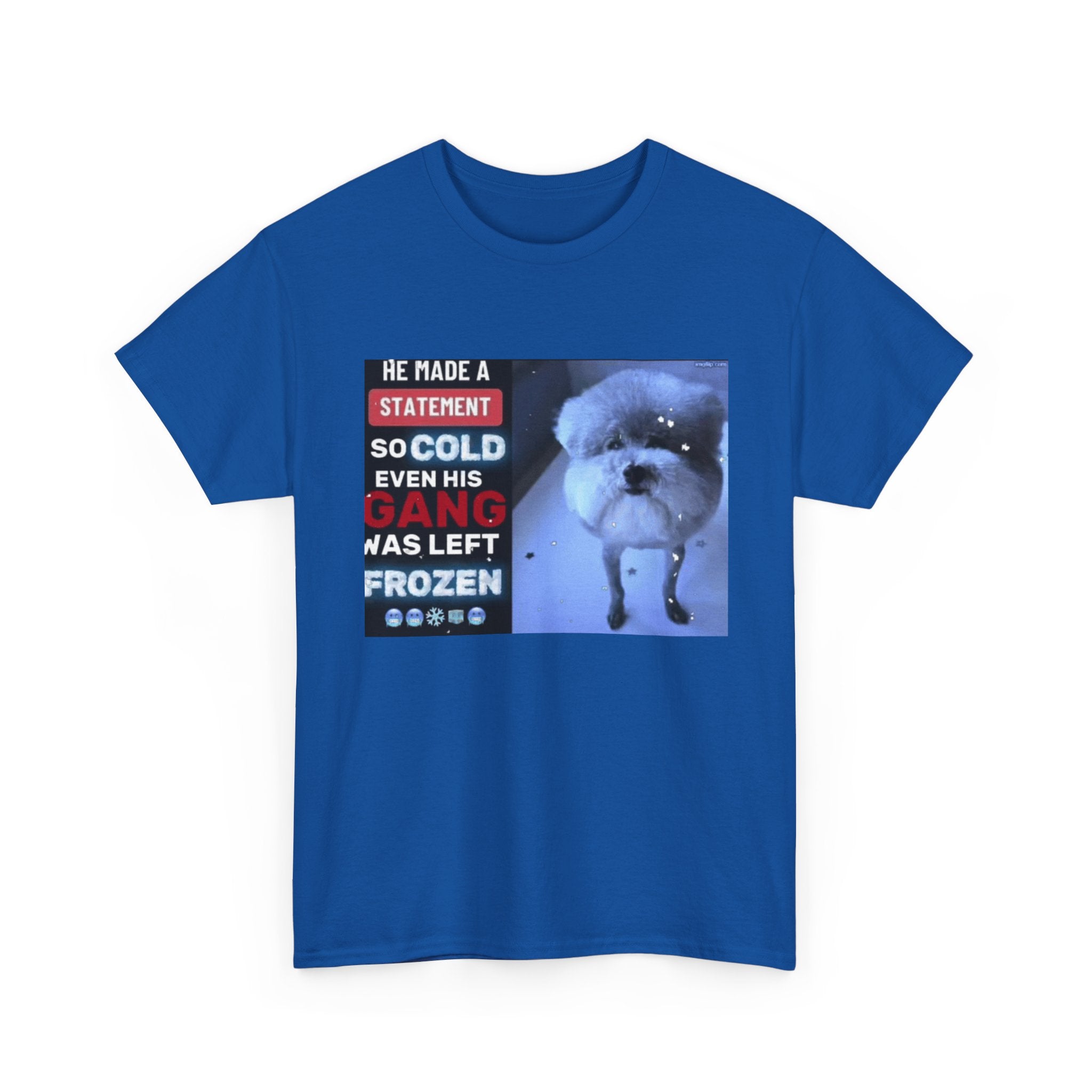 HE MADE A STATEMENT SO COLD - Graphic T-Shirt 100% Cotton
