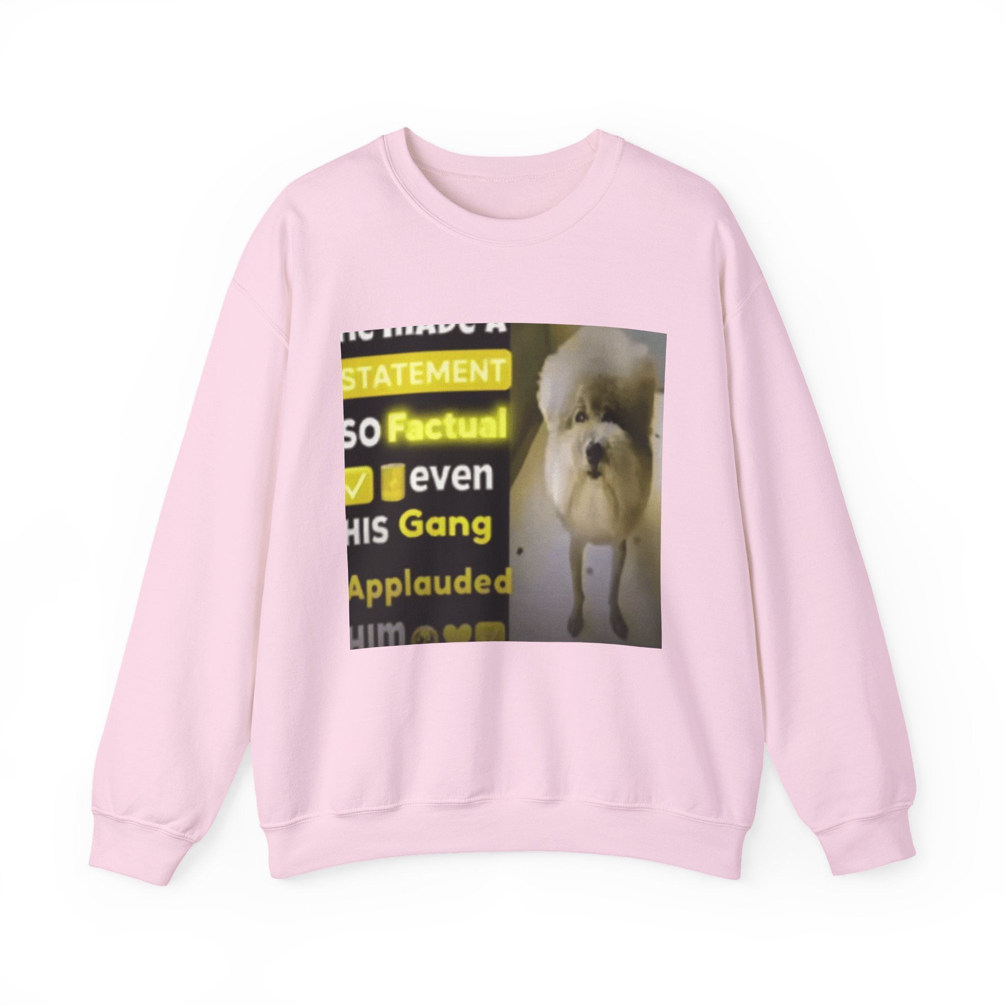 HE MADE A STATEMENT SO FACTUAL - Crewneck Long Sleeve