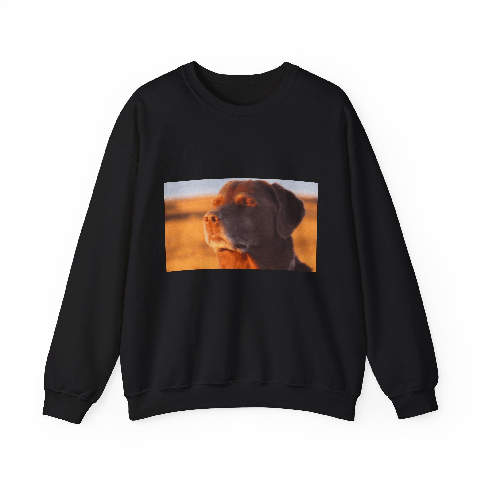 Dog Trying not to Laugh - Crewneck Long Sleeve