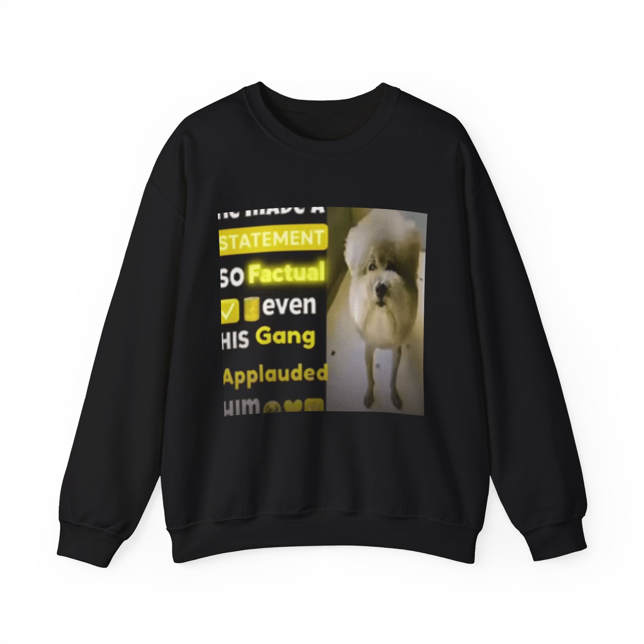 HE MADE A STATEMENT SO FACTUAL - Crewneck Long Sleeve