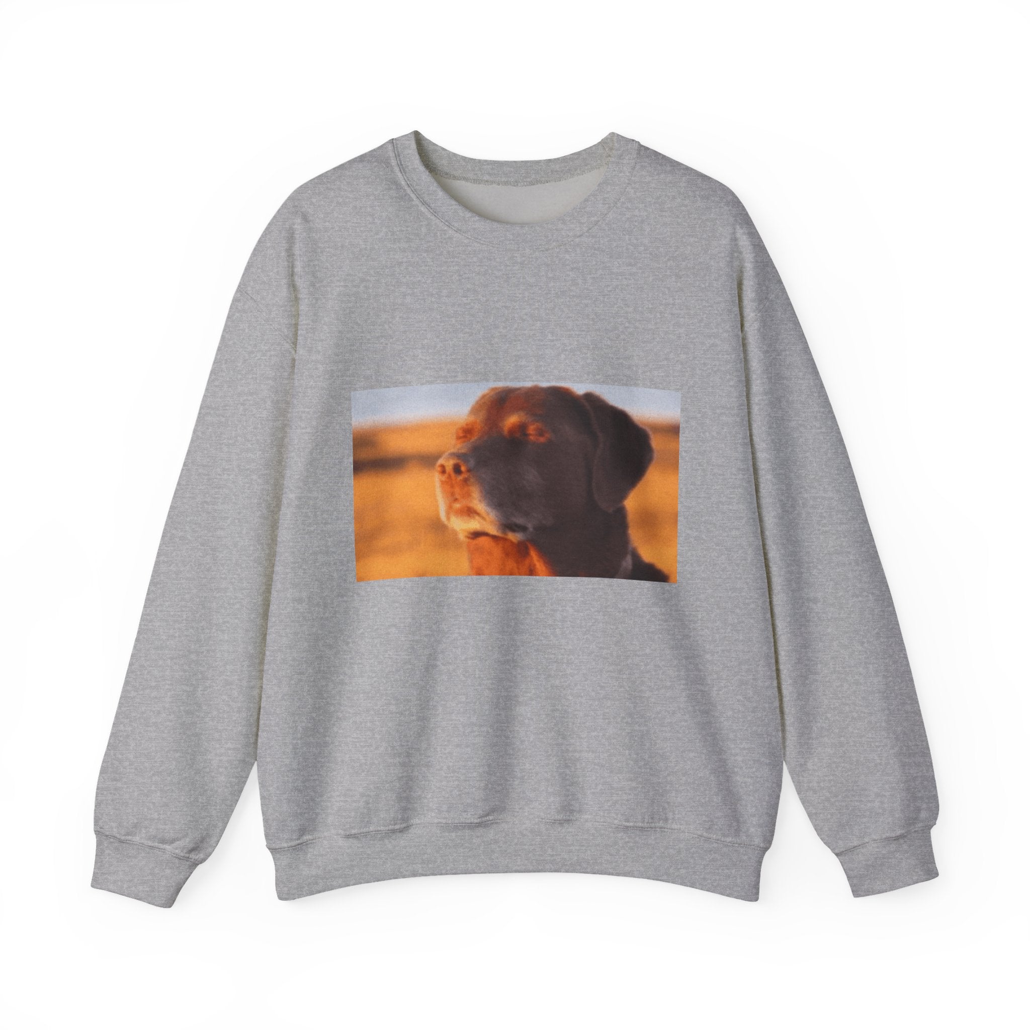 Dog Trying not to Laugh - Crewneck Long Sleeve